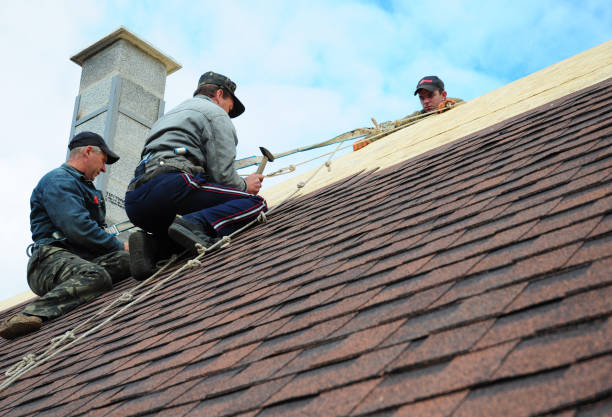 Best Roof Gutter Cleaning  in Eaton, IN